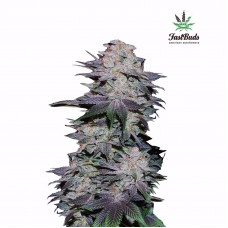 Blackberry Auto - FastBuds